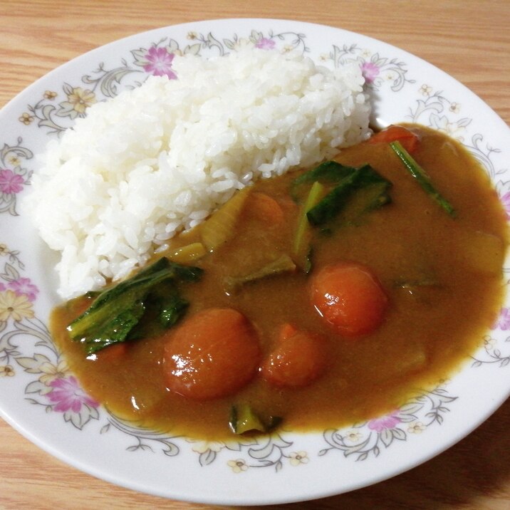 冷蔵庫の残り野菜で作るカレー